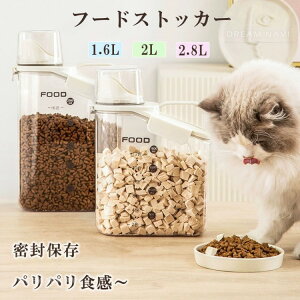 yҏ300~OffN[|zt[hXgbJ[ e ybgt[hXgbJ[ hh XgbJ[ Lp p vʃJbvt h  ڐt ybgpi hbO vX`