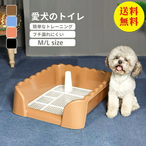 gC  gC g[ ybggC  gCg[jO ybgg[ Ch ybgp t`h~ gCg[s50×43×  t`R h~