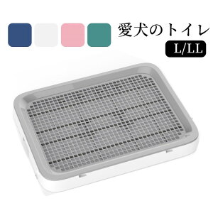 gC  gC g[ ybggC  gCg[jO ybgg[ Ch ybgp t`h~ h~ ӂR t`R LTCY gCg[ 