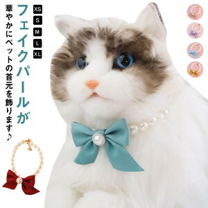 {^`[ p i ؂₩ lbNX tFCNp[  Lp ANZT[ q  ꂢ LL WG[ ^ GKg 킢