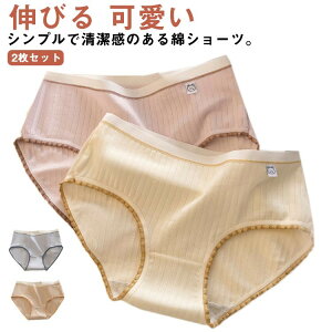 【早い者勝ち★300円Offクーポン】中学生 コットン 2枚セット 女の子 下着 女性用 伸びる 履きやすい インナー パンティ ストレッチ パンツ 無地 スタンダードショーツ 可愛い レース シ ショ