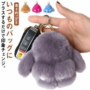 yҏ300~OffN[|zt@[`[ S20F L[`F[ obO`[   ӂӂ A t@[ `[ e  J[oG[V l L[z_[