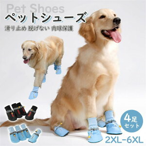 yҏ300~OffN[|zC EȂ ₷ ybgV[Y p C ̌C hbOV[Y U }WbNe[v    VjA PA ^  yb یV[