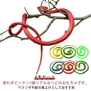  _~[Xl[N A 悯 wr  4{Zbg Q΍   t 70cm ǔL ΍ u  JX hbL W[NObY   