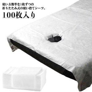 yҏ300~OffN[|z100   y[p[V[c xbhV[g sDz zCg e@p 80cm×190cm 70×180cm Ɩp ĝăV[c hȂ e@ fBX| T