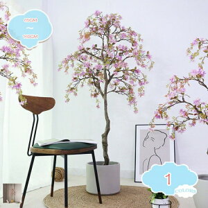 tFCNO[  CeA  lHϗtA t tFCNA CeAG p ΂OϐlHϗtA tFCNO A ^