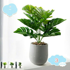 A tFCNϗtA z[fR[V fBi[e[u tFCNA ~ ~jA lHA fXNgbv[t tFCNKX tFCN[t lHO[A