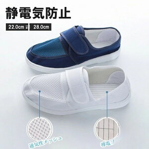 ɂCƂꂽÓd\ Iׂ3ރ\[ bV Xb| bVؑ Xj[J[ 㗚  ƌC Y fB[X pV[Y ÓdC