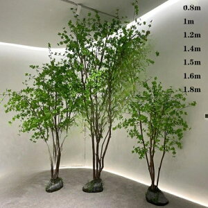 ^ tFCNO[ lHϗtA lHA N₩ȐF {̃^b` lH lH oii V~[Vc[ z[ O 