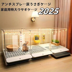 2024 A`Xv[AP[W ƒpETMP[W e  t[hg P[W P[WlXgB