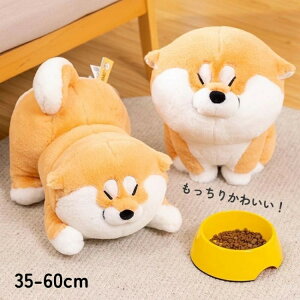 Č ΂ ʂ q   rV   xbh ߋ ӂӂ  ̎q j̎q 킢 Mtg oYj D CeA 