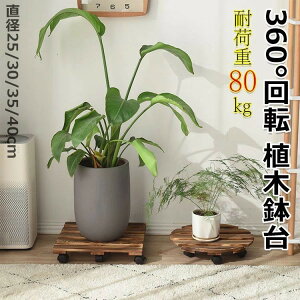 Aؔ ؐu LX^[t 360°] u v[g ω׏d80kg ی`؂̐Aؔg[ v^[X^h ؐ LX^[ ~  v^[ u ԑ