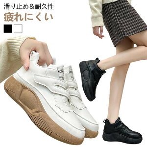 Xj[J[ fB[X  Xj[J[ nCJbgXj[J[ RtH[gV[Y  O EH[LOV[Y  ʋC JWA