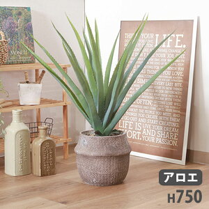 フェイクグリーン アロエ 幅700×奥行750×高さ750mm アートグリーン 人工観葉植物 観葉植物 造花 aloe 店舗 施設 カフェ オフィス 癒し おしゃれ FB-3091661