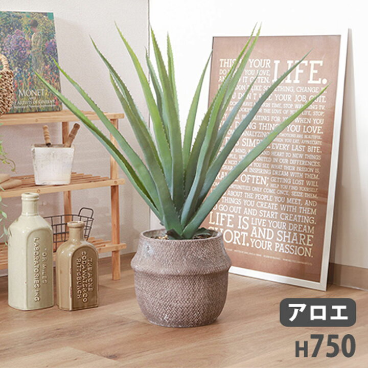 楽天市場】【P5倍1/20 13-15時&最大1万円ｸｰﾎﾟﾝ1/20】 フェイクグリーン 