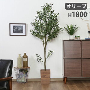 tFCNO[ I[u 600×s600×1800mm A[gO[ lHϗtA ϗtA   X { JtF ItBX   FB-807021A