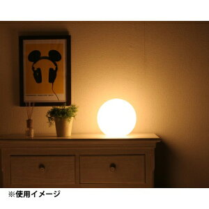 tAv {[^v tAƖ LUNA25F Lbg ItBXƋ CeA