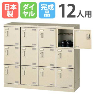 yő1~N[|11/20-26z V[YbJ[ 12lp 43i _CbJ[ ԒIt t { i ʔ X`[bJ[ V[Y{bNX ֎[ C [ SLB-M412-D2 L