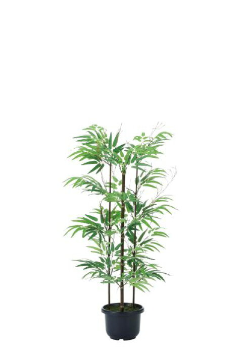 楽天市場 黒竹 観葉植物 100cm 光触媒 和風 バンブー C3508 100 Lookit オフィス家具 インテリア