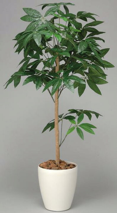 楽天市場】パキラ 観葉植物 造花 鉢植え プラント 人工植物 植木 鉢 