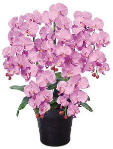 yő1~N[|10/30z yzNC[ӒL Mtg a CeA EE0904-180