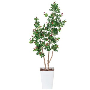 nbNx[@H125cm A lC  3A4501-220