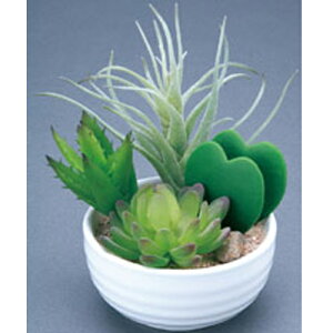 �yP5�{12/15 13-15��&�ő�1���~�N�[�|��12/13-15�z �񂹐A�����u���[ ���A�� ���� ���G�} 3A5110-48