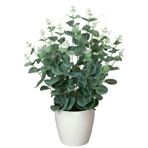 yő1~N[|11/20-26z [J H42cm A vg 3A5206-60