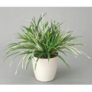 yP5{11/25 13-15&ő1~N[|11/20-26z hZi~bNX H38cm A O[ 3A5207-84