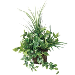 yő1~N[|11/20-26z Ǌ|i`OX vg A 3A5609-84