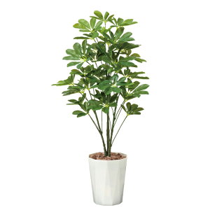 yz VFt ϗtA G} lH 90cm t Jo[ CeAO[  Mtg 514A180-31