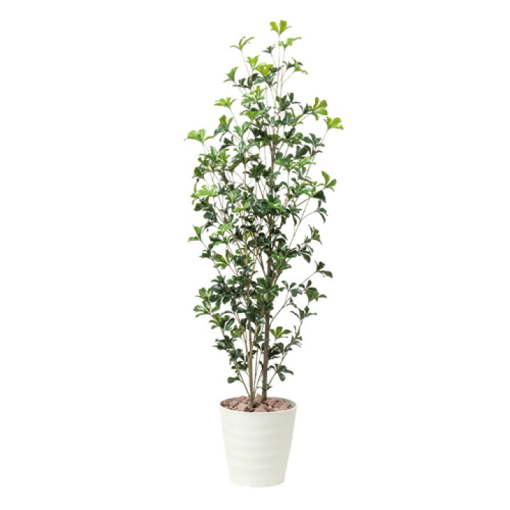 楽天市場】シェフレラツリー 170cm 人工 観葉植物 人工観葉植物 屋外 