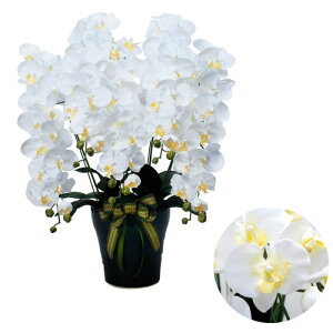 yP3{12/1 13-15&ő1~N[|12/1z CӒ 5{W 76cm lH ϗtA lHϗtA  G} CeA Mtg v[g L R ԕ  K  532A360-56