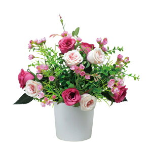 �y�ő�1���~�N�[�|��7/4-10�z �v���e�B���[�Y ����28cm �l�H �ϗt�A�� �l�H�ϗt�A�� ���� ���G�} �C���e���A �M�t�g �v���[���g ���L �R�� �ԕ��΍� �E�L �E�� �h�J�r 547A48-69