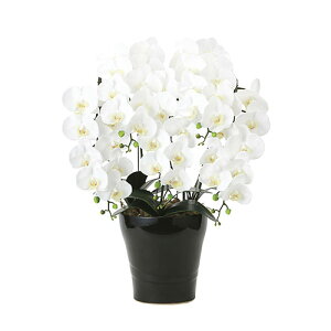 yő1~N[|11/30z Ӓ ̊y 5{ G}  A[gt[ CeA Mtg  X JXj JƏj  L R h ItBX Y 2044A240-71