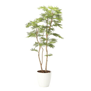 ˂ނ̖ ̊y 160cm G}  tFCNO[ CeA Mtg  X JXj A[gO[ L R ^ ItBX O 2105A440-26