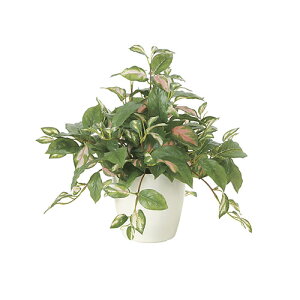 ホヤ 光の楽園 40cm 光触媒 造花 フェイクグリーン インテリア ギフト おしゃれ 店舗 開店祝い アートグリーン 消臭 抗菌 防汚 オフィス 国産 置物 2214A90-63