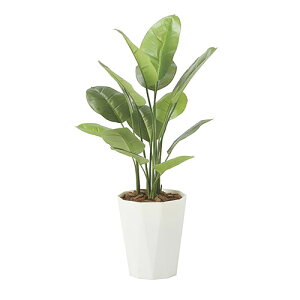 yő1~N[|11/20-26z XL_vTX ̊y 100cm G}  tFCNO[ CeA Mtg  X JXj A[gO[ L R ItBX Y 2240A200-54