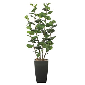 yő1~N[|11/20-26z V[O[v ̊y 180cm G}  tFCNO[ CeA Mtg  X JXj A[gO[ L R ^ ItBX 2245A700-21