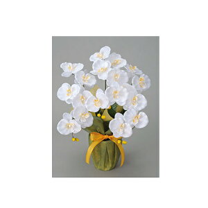 yő1~N[|11/20-26z ~fBӒ@蕨  _CjO 25A42-56