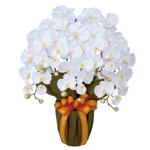 �y�ő�1���~�N�[�|��4/4-9�z �G���K���g�Ӓ��� �ϗt�A�� ���� ���A�� �v�����g �l�H�A�� �� ���t�� ���L �R�� �h�� ���`�� ������� �C���e���A �I�t�B�X ��c�� �K�[�f�� �{�� 452A96-56