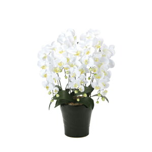 �Ӓ��� 5�{�� ��53×���s50×����74cm �l�H�A�� ���G�} ���� �C���e���A�O���[�� ���j�� ����p ���蕨 �C���e���A ���� ���� 654A180-73