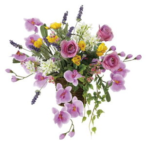 yő1~N[|11/20-26z XC[gx_[ Ǌ| 50×s25×60cm A[gt[  G} lHA CeA  t[V[Y 752H120-98