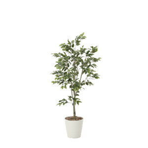 観葉植物 人工観葉植物 光触媒の人気商品 通販 価格比較 価格 Com 観葉植物 人工観葉植物 光触媒の人気商品 通販 価格比較 価格 Com