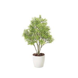 観葉植物 造花の人気商品 通販 価格比較 価格 Com