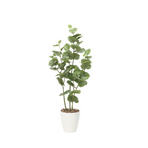 yP5{11/25 13-15&ő1~N[|11/20-26z V[O[v 120cm 50×s35×120cm lHϗtA G} A^Cv  CeAO[ lHA CeA 870A180-50