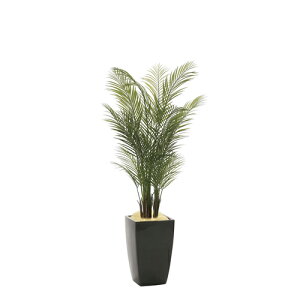 yő1~N[|12/4-10z A[oAJp[ 170cm 60×s65×170cm lHϗtA G} A^Cv  CeAO[ lHA CeA 945A700-22