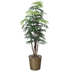 シュロチク 花の人気商品 通販 価格比較 価格 Com シュロチク 花の人気商品 通販 価格比較 価格 Com
