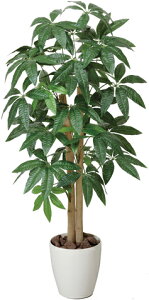 yő1~N[|11/30z yzpL G} L R  h  EE4508-150