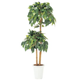 楽天市場 オフィス 観葉植物 花 観葉植物 花 ガーデン Diyの通販